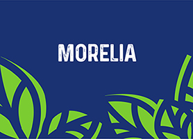 Tienda Rechido Morelia