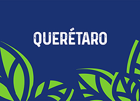 Tienda Rechido Querétaro